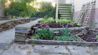 Vergroening tuin 17